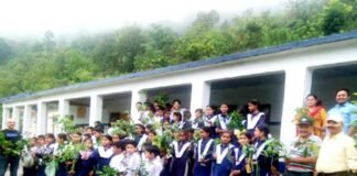 श्रीदेव सुमन की 75वीं पुण्यतिथि पर द्वारीखाल स्कूल में लगाये फलदार पेड़ plantation on sri dev suman anniversary