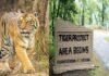 कार्बेट नेशनल पार्क: गश्त के दौरान वनकर्मी को बाघ ने बनाया निवाला tiger-reserve-park