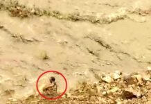 श्रीनगर गढ़वाल: बाइक सहित अलकनंदा नदी में समाया युवक, वीडियो बनाते रहे लोग Youth-drowned-in-Alaknanda-