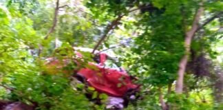 उत्तराखंड: गहरी खाई में गिरी कार,किशोरी की मौत, पांच लोग घायल car-fell-in-ditch