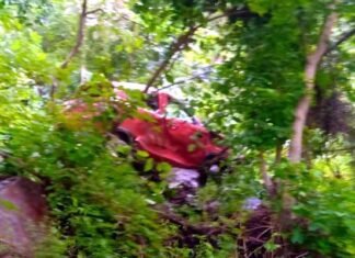 उत्तराखंड: गहरी खाई में गिरी कार,किशोरी की मौत, पांच लोग घायल car-fell-in-ditch