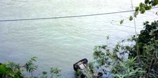 श्रीनगर-धारी देवी के समीप झील में गिरी ऑल्टो कार car-fell-into-alaknanda-river
