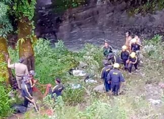 चमोली में मैक्स वाहन खाई में गिरा, चार शव बरामद Max vehicle falls into a ditch
