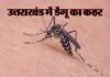 उत्तराखंड में डेंगू रोगियों की संख्या 2600 के करीब पहुंची, मुख्यमंत्री ने दिए रोकथाम के निर्देश dengue-in-uttarakhand