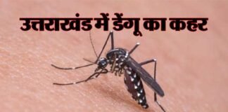 उत्तराखंड में डेंगू रोगियों की संख्या 2600 के करीब पहुंची, मुख्यमंत्री ने दिए रोकथाम के निर्देश dengue-in-uttarakhand