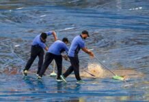 इंडिया साउथ अफ्रीका सीरीज: बारिश की भेंट चढ़ा पहला टी-20 मैच india-south-africa-t-20-match