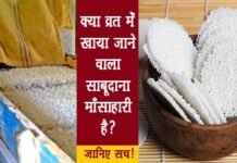 व्रत में खाया जाने वाला साबूदाना है मांसाहारी आहार! जानिए सच्चाई sabudana-non-vegetarian
