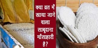 व्रत में खाया जाने वाला साबूदाना है मांसाहारी आहार! जानिए सच्चाई sabudana-non-vegetarian