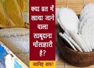 व्रत में खाया जाने वाला साबूदाना है मांसाहारी आहार! जानिए सच्चाई sabudana-non-vegetarian