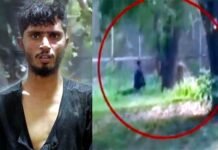 दिल्ली के चिड़ियाघर में शेर के बाड़े में कूदा शख्स, फिर क्या हुआ वीडियो में देखें Man jumped into lion enclosure at Delhi Zoo