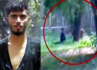 दिल्ली के चिड़ियाघर में शेर के बाड़े में कूदा शख्स, फिर क्या हुआ वीडियो में देखें Man jumped into lion enclosure at Delhi Zoo
