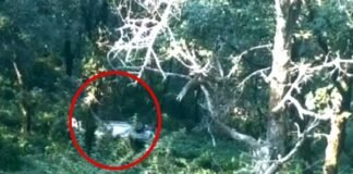 पौड़ी गढ़वाल: हरिद्वार से पौड़ी जा रही कार खाई में गिरी car-accident-in-pauri