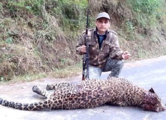 श्रीनगर-खंडाह में महिला को निवाला बनाने वाला आदमखोर तेंदुआ मारा गया leoard-killed-in-pauri-garhwal