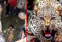 पौड़ी गढ़वाल: 10 वर्षीय बालिका को तेंदुए ने बनाया निवाला, क्षेत्र में दहशत leopard-kills-girl