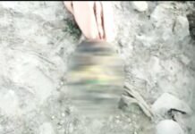 श्रीनगर गढ़वाल: महिला थाने से चंद दूरी पर मिला नवजात बच्ची का शव, क्षेत्र में सनसनी newborn-girl-dead-body