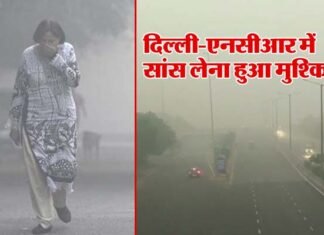 दिल्ली-एनसीआर में प्रदूषण की मार, एयर क्वॉलिटी इंडेक्स पहुंचा 800 के पार, 5 नवंबर तक सभी स्कूल बंद pollution-in-delhi-ncr