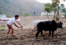 मलेथा आंदोलन के नायक समीर रतूड़ी को मिलेगा दून श्री सम्मान sameer-raturi