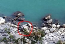 गहरी खाई में गिरी दम्पति की कार, पत्नी की मौत, पति घायल