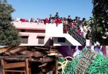 श्रीनगर-डांग में घर के स्टोररूम में घुसा गुलदार का शावक, लोगों में दहशत leopard-cubs