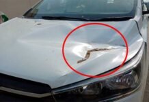 उत्तराखंड: उच्च शिक्षा मंत्री का वाहन दुर्घटनाग्रस्त, बाल-बाल बचे मंत्री धन सिंह रावत व दो अन्य विधायक car-accident