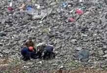 ऋषिकेश-श्रीनगर मार्ग पर गहरी खाई में गिरी ऑल्टो कार, 5 लोगों की मौत Auto car falls into deep gorge on Rishikesh-Srinagar road