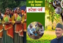 हरेला पर्व पर उत्तराखंड में रहेगा सार्वजनिक अवकाश,मुख्यमंत्री ने दी स्वीकृति harela-festival