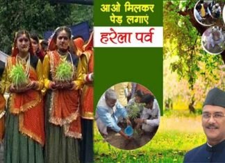 हरेला पर्व पर उत्तराखंड में रहेगा सार्वजनिक अवकाश,मुख्यमंत्री ने दी स्वीकृति harela-festival