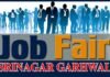श्रीनगर में 20 फरवरी को रोजगार मेला, बेरोजगार युवाओं के लिए सुनहरा मौका job-fair in srinagar garhwal