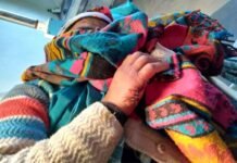 पौड़ी गढ़वाल: जंगली सुअरों ने महिला पर हमला कर किया घायल Wild boar attacked and injured woman