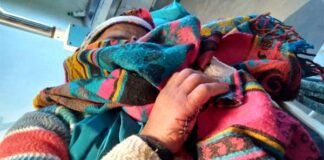पौड़ी गढ़वाल: जंगली सुअरों ने महिला पर हमला कर किया घायल Wild boar attacked and injured woman