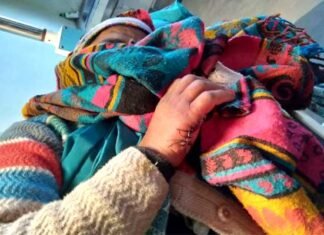 पौड़ी गढ़वाल: जंगली सुअरों ने महिला पर हमला कर किया घायल Wild boar attacked and injured woman