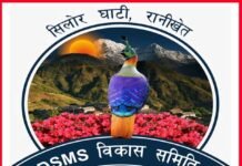 रिवर्स पलायन के जरिए अपने घर-गांव को संवारने में लगे हैं सिलोर घाटी के युवा silor-ghati