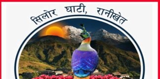 रिवर्स पलायन के जरिए अपने घर-गांव को संवारने में लगे हैं सिलोर घाटी के युवा silor-ghati
