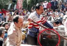 श्रीनगर के कमलेश्वर में घर में घुसा तेंदुआ, लोगों में दहशत Leopard-enters-house