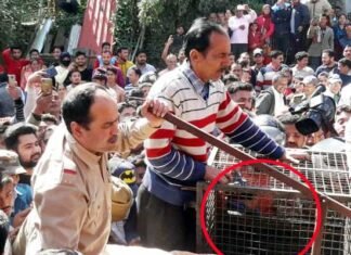 श्रीनगर के कमलेश्वर में घर में घुसा तेंदुआ, लोगों में दहशत Leopard-enters-house