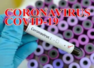 नोएडा में कोरोना के 7 नए मामले, अब तक जिले में 45 लोग कोरोना वायरस की चपेट में coronavirus