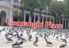 कोरोना वायरस: देश के 75 शहरों में 31 मार्च तक लॉकडाउन, दिल्ली मेट्रो सहित देशभर में सभी रेल सेवाएं 31 मार्च तक बंद। delhi-lock down
