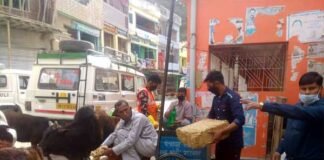 आवारा पशुओं को चारा देने व सुरक्षा में लगे डॉ. विनय Food-for-stray-animals