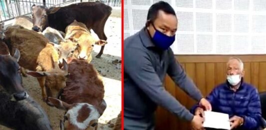 cow-service-in-pauri-garhwa