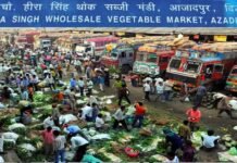 आजादपुर मंडी में सब्जी व्यापारी की कोरोना से मौत, दिल्ली में बढ़ा कोरोना संकट azadpur-sabji-mandi