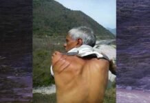 सतपुली : मंदिर जा रहे व्यक्ति पर भालू ने हमला कर किया घायल bear-attacked-man-in-satpuil