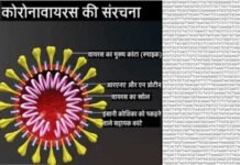 अच्छी खबर: भारतीय वैज्ञानिकों ने कोरोना का जीनोम सिक्वेंस खोज निकाला, वैक्सीन बनाने में मिलेगी मदद corona genome sequence
