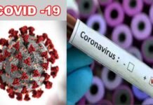 उत्तराखंड : शनिवार को फिर कोरोना के 6 नए मामले आए सामने, 22 पहुंचा आंकड़ा covid-19