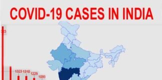 कोरोना : 14 हजार के पार पहुंचा आंकड़ा, देश में कहाँ कितने मरीज, देखें पूरी लिस्ट coronavirus covid-19-cases-in-india