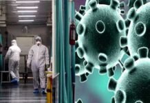 ग्रेटर नोएडा के गामा, डेल्टा सेक्टर सहित नोएडा में आज मिले 41 नए कोरोना पॉजिटिव, 632 पहुंचा जिले में संक्रमितों का आंकड़ा corona-ka-kahar