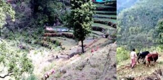 पलायन सतत प्रक्रिया है, पर पलायन कर चुके लोगों के पास सुनहरा मौका है कि वे स्वयं का मूल्यांकन करें migration-from-uttarakhand