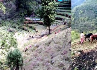 पलायन सतत प्रक्रिया है, पर पलायन कर चुके लोगों के पास सुनहरा मौका है कि वे स्वयं का मूल्यांकन करें migration-from-uttarakhand