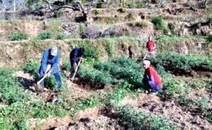 way of reverse migration