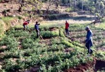 पलायन कर शहर गए नौजवानों को गाँव लौटने की राह दिखा रहे है पौड़ी गढ़वाल के कैंडूल गाँव के चार युवा way of reverse migration