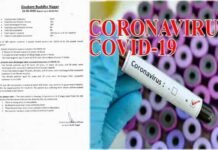 नोएडा में आज फिर सामने आए कोरोना के 4 नए मामले, जिले में 242 हुई संक्रमितों की संख्या, 4 की हो चुकी है मौत 4 new corona cases reported in Noida